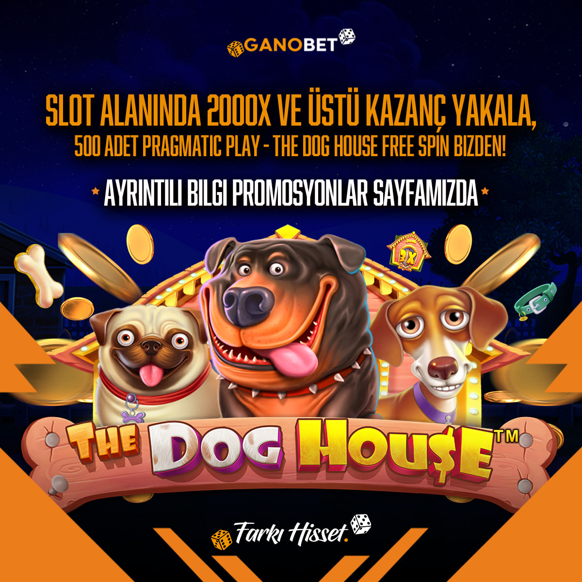 500 dog house.jpg