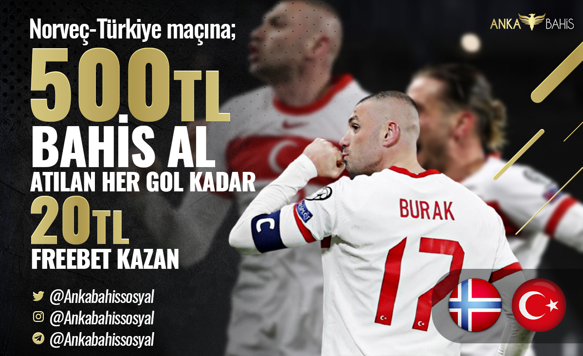 ankanorveç.png