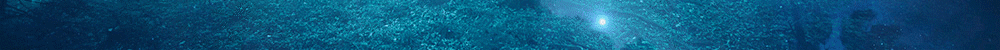 atlasbetbanner.gif
