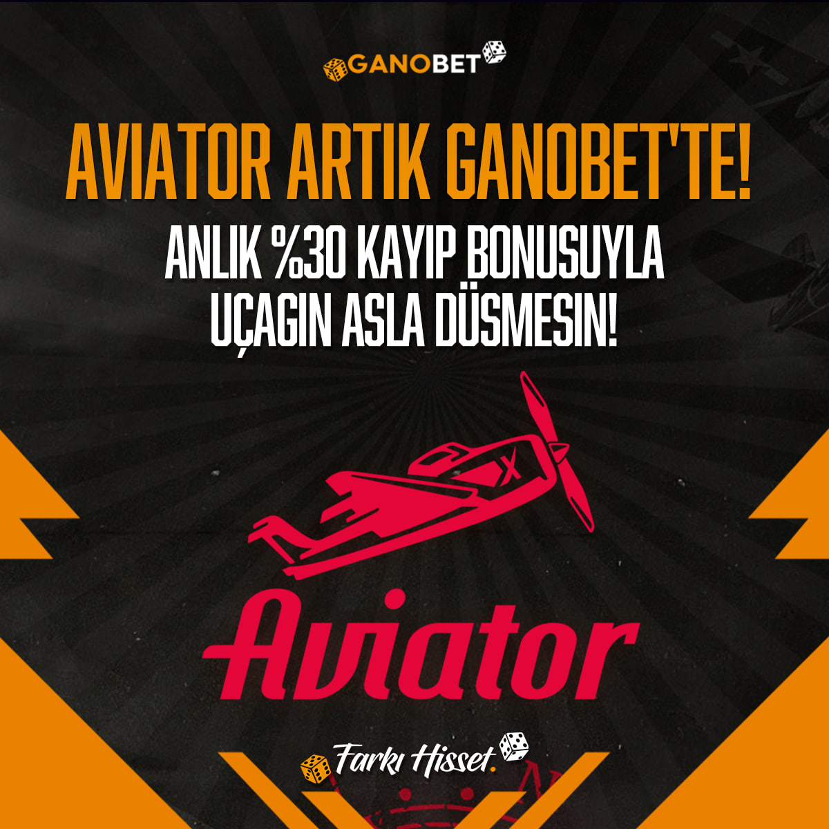 AVIATOR.jpg