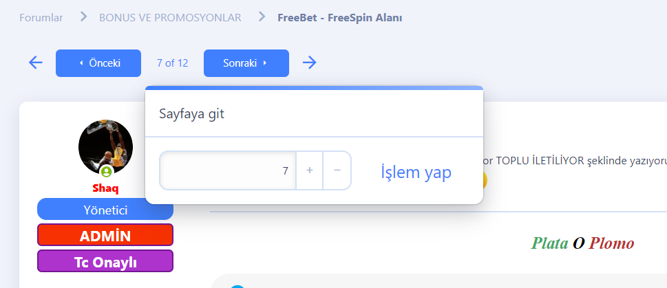 ççç.png