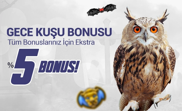 gecekusubonusu.png