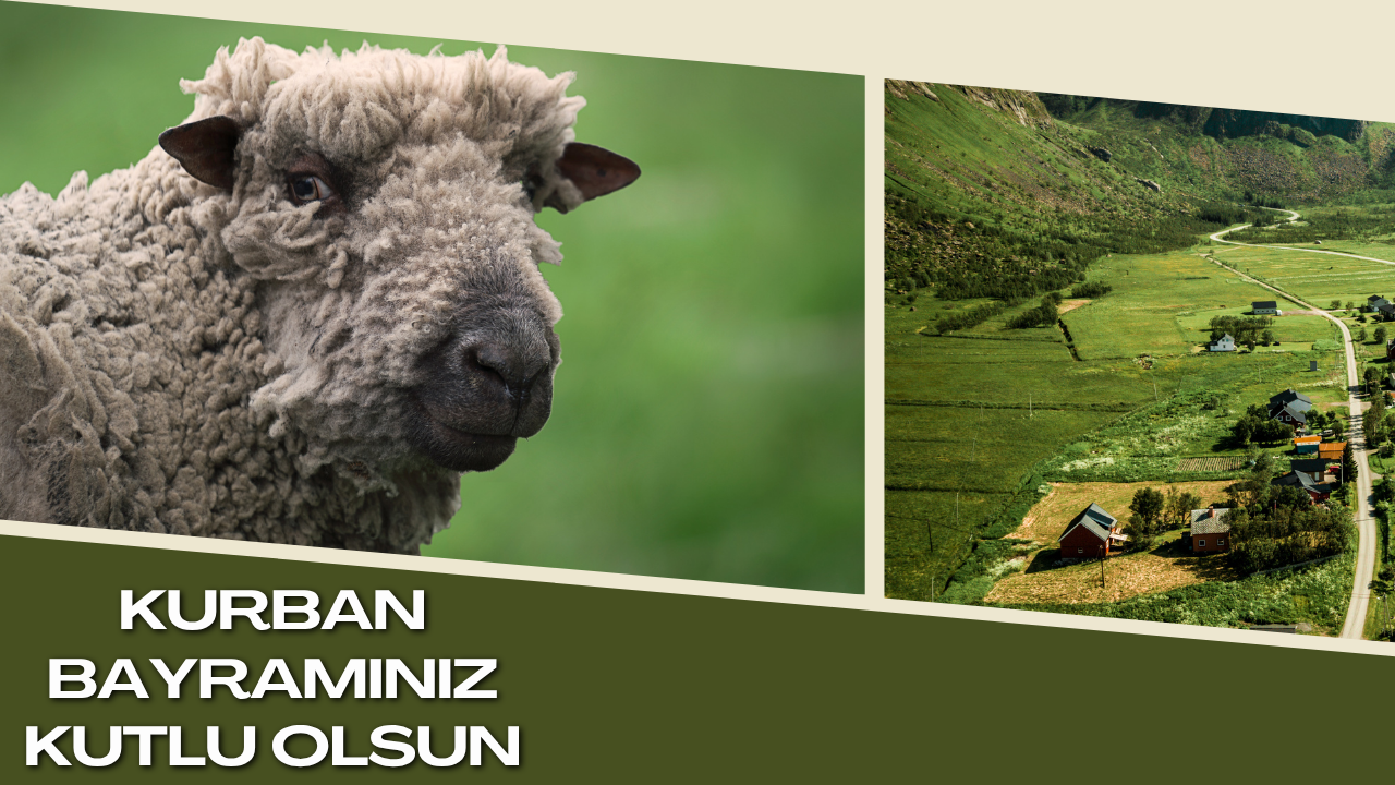 KURBAN BAYRAMINIZ KUTLU OLSUN.png