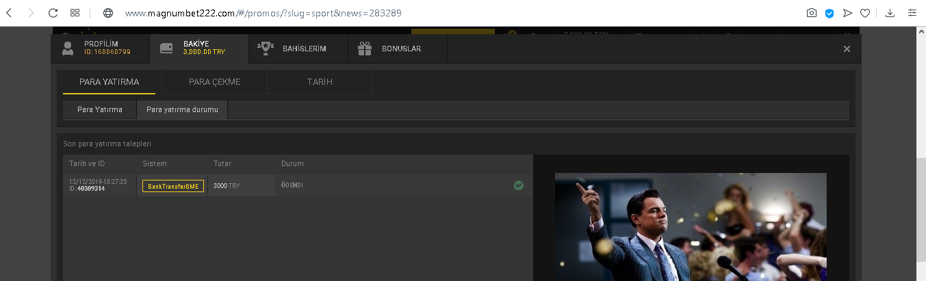 magnum yatırım.png