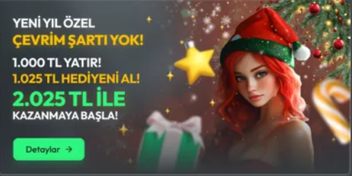oto29ara.png