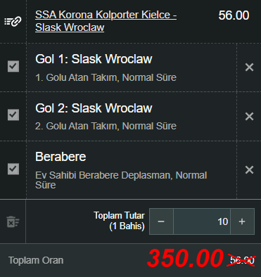 özel oran 3.png