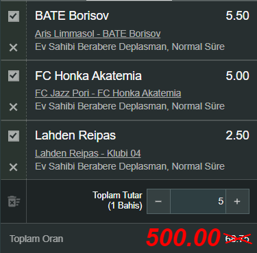 Özel Oran 5.png