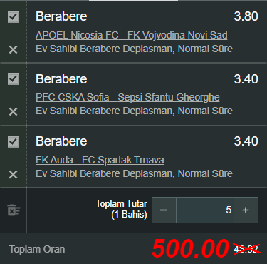 Özel oran 5.png