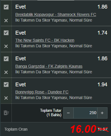 Özel Oran 6.png