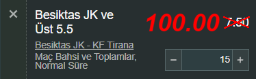 Özel oran 7.png