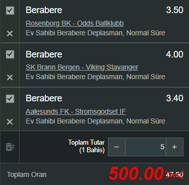 Özel Oran 7.png