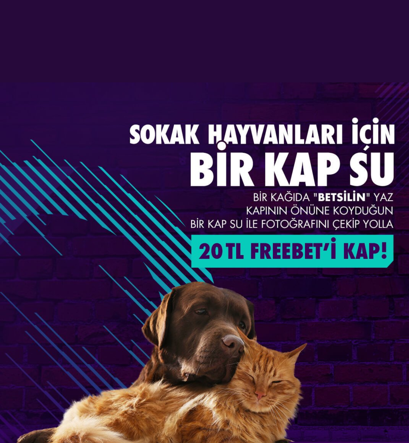 Screenshot_2019-08-21-12-02-03~2.png