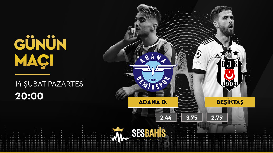ses14şub.jpg