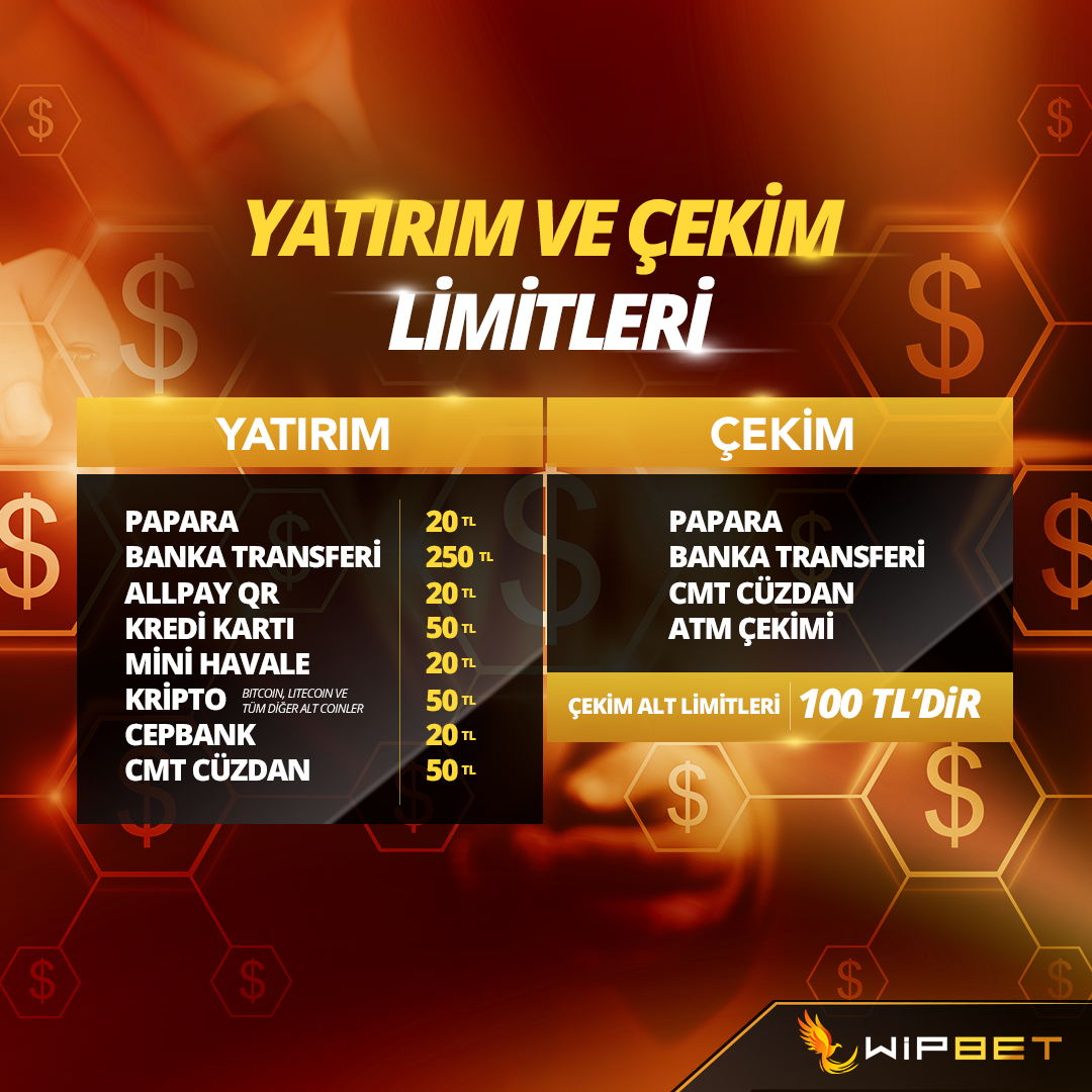 wip-yatirim-limitleri.png