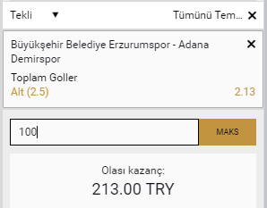 yeni rol1.png