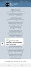 Screenshot_20210423_232718_org.telegram.messenger.jpg