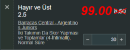 Özel Oran 4.png