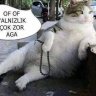 Umutks41
