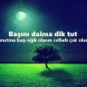 BATU33