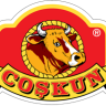bycoskun