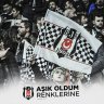 Reis24