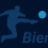 Bienbet Destek